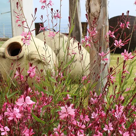 Delle Anfore بيت ضيافة *