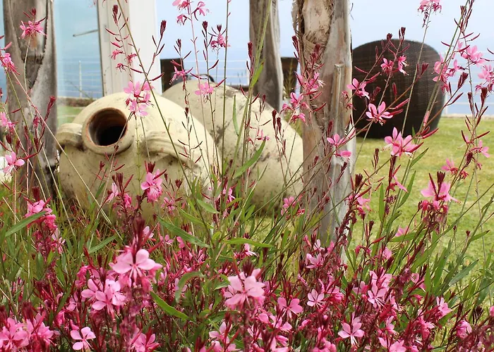 Delle Anfore Vendégház *